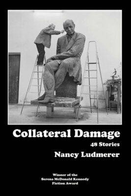 A CONVERSATION WITH NANCY LUDMERER, AUTHOR OF COLLATERAL DAMAGE: 48 STORIES by Kathryn Kulpa