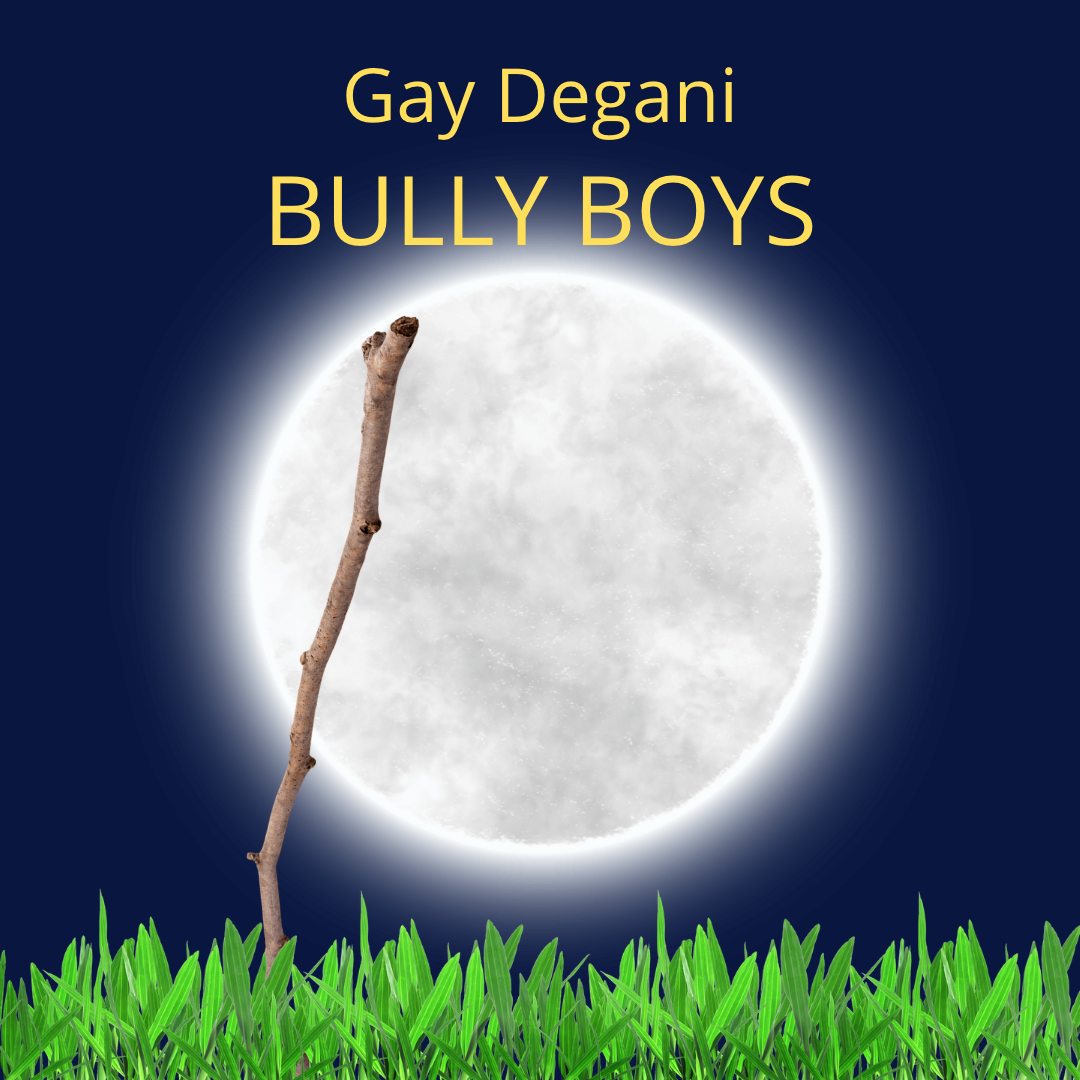 BULLY BOYS by Gay Degani