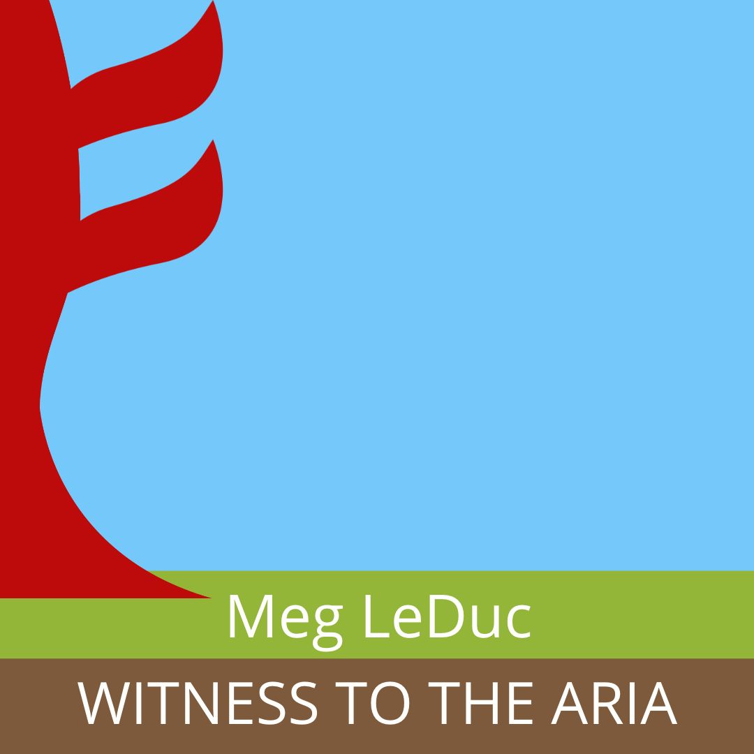 WITNESS TO THE ARIA by Meg LeDuc