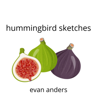 HUMMINGBIRD SKETCHES by Evan Anders