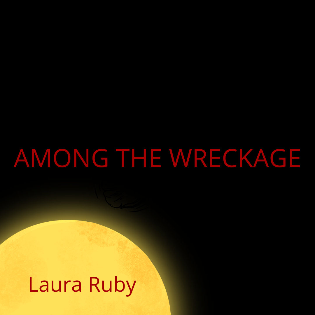 AMONG THE WRECKAGE by Laura Ruby