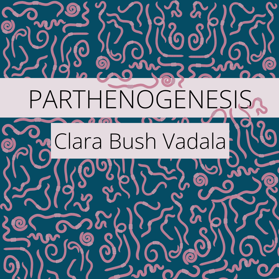 PARTHENOGENESIS by Clara Bush Vadala