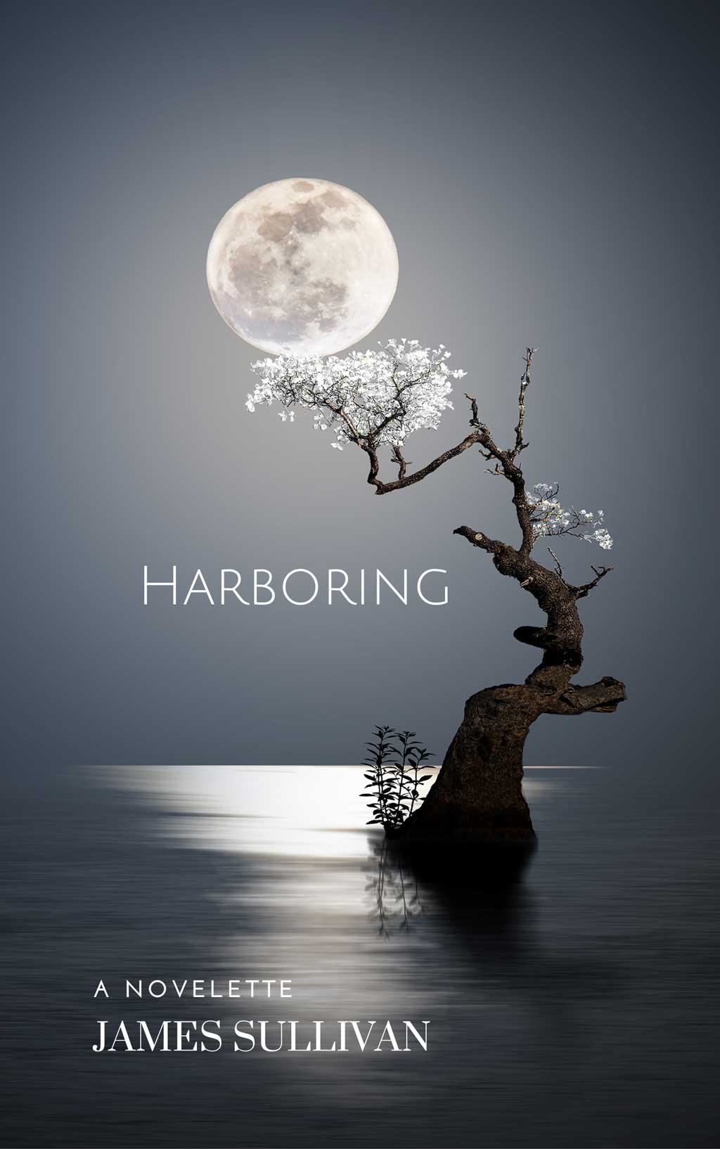 A Conversation with James Sullivan, Author of HARBORING by Justin Eells