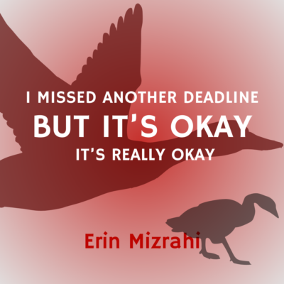 I MISSED ANOTHER DEADLINE BUT IT’S OKAY IT’S REALLY OKAY by Erin Mizrahi