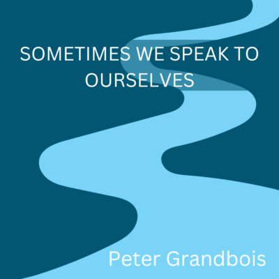 SOMETIMES WE SPEAK TO OURSELVES by Peter Grandbois