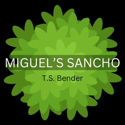 MIGUEL'S SANCHO by T.S. Bender