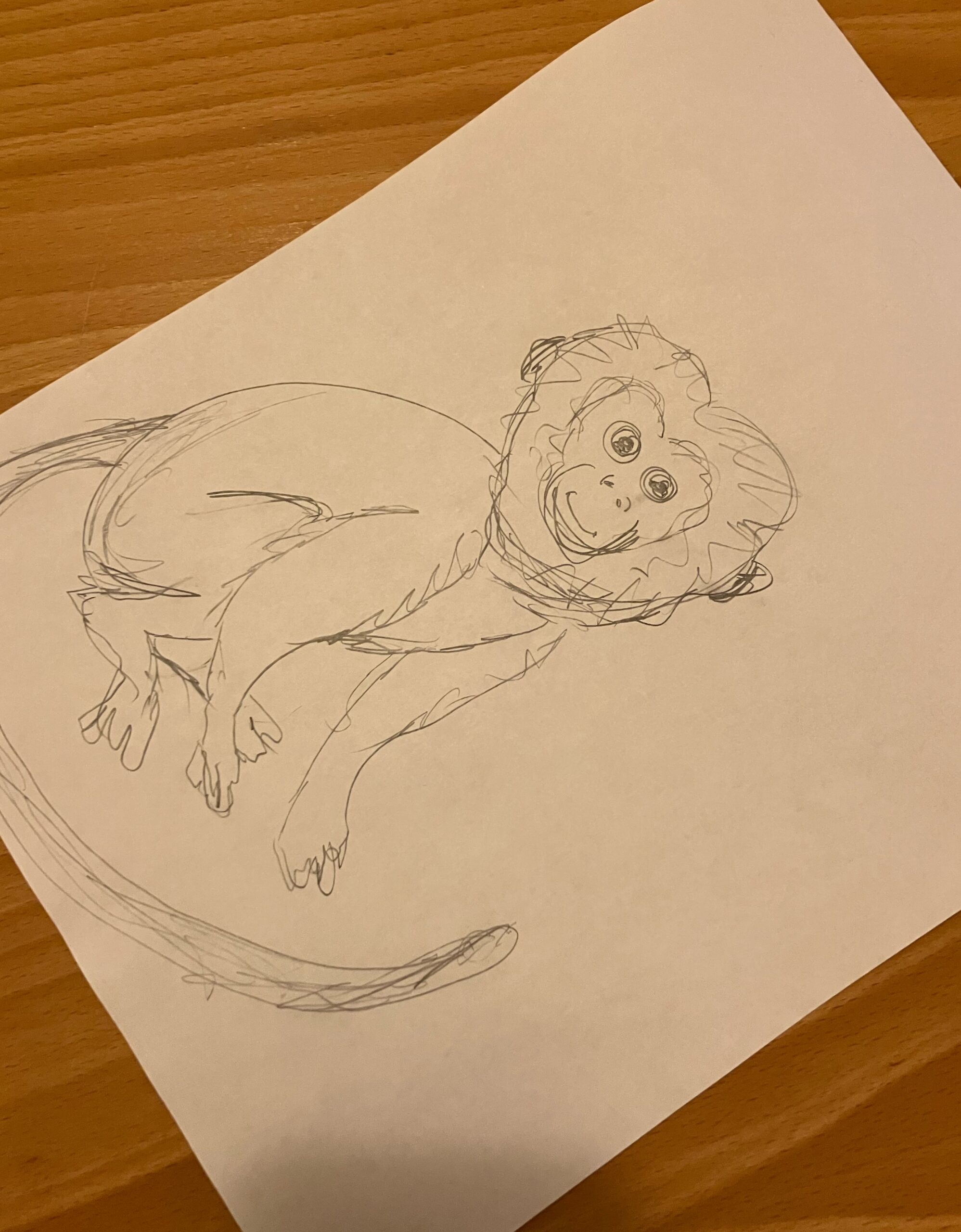 Toque Monkey Drawing Rebecca Entel: ADD A MONKEY • Writing Tips